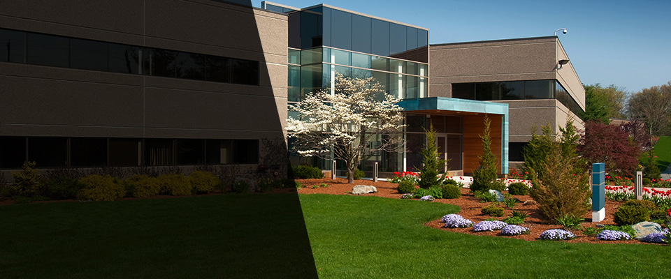 Narberth Landscapers