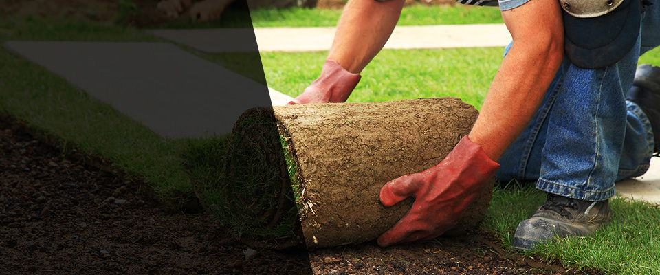 Narberth Landscapers